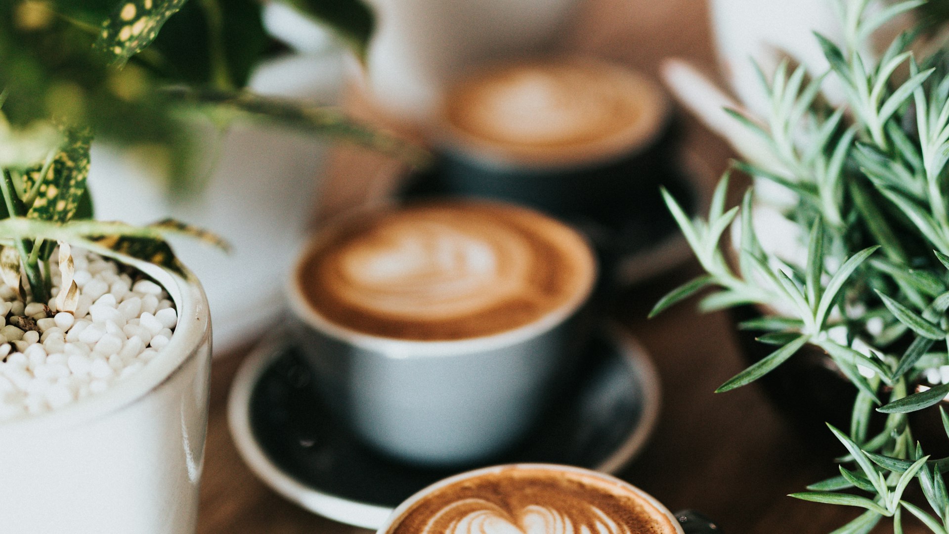 Barista pouring steamed milk into an espresso drink with latte art in a bright Florida coffee shop