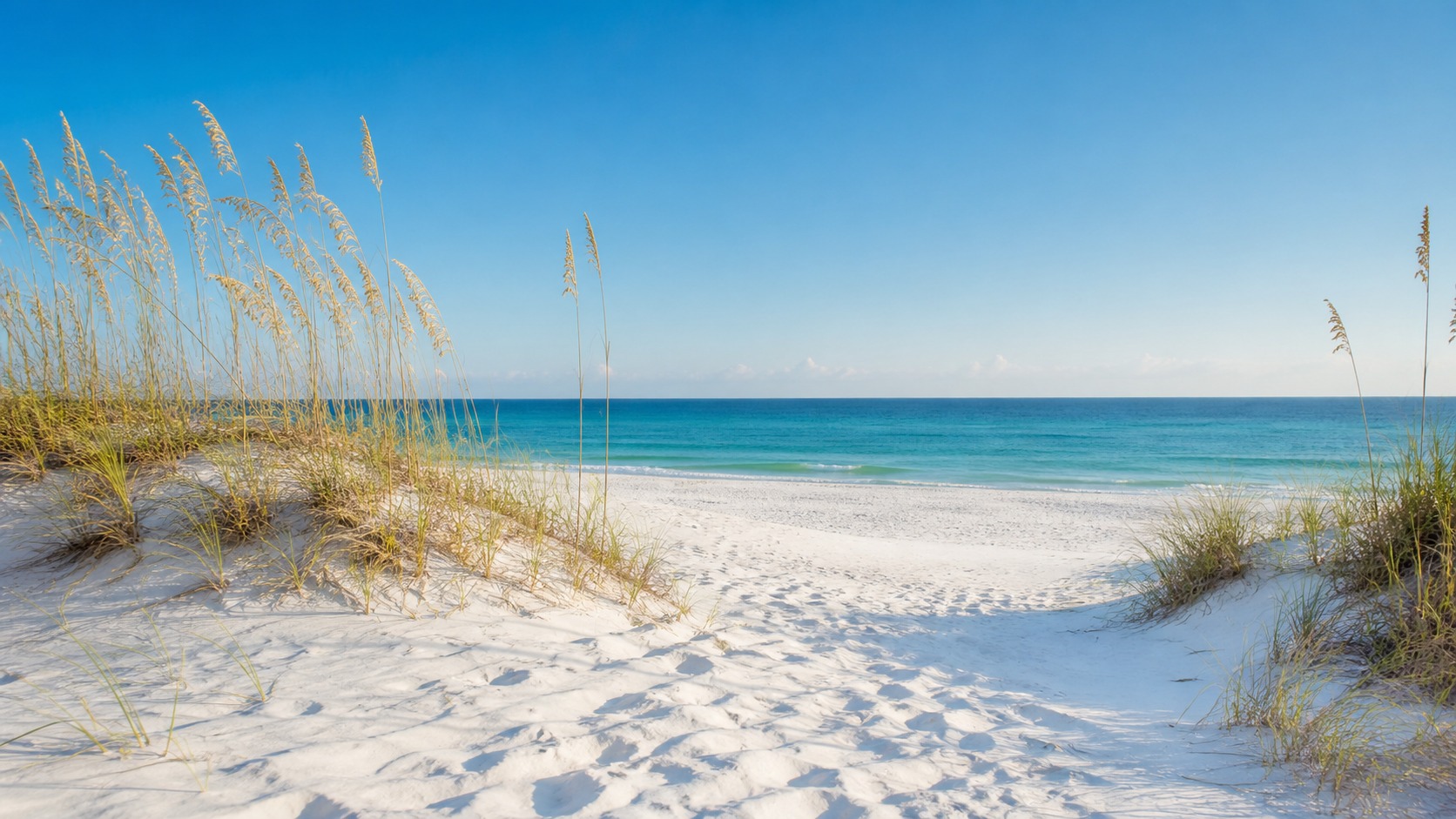 Henderson Beach State Park Destin Florida early morning, pristine white sand dunes with sea oats, emerald Gulf water in the distance, clear blue sky, no crowds